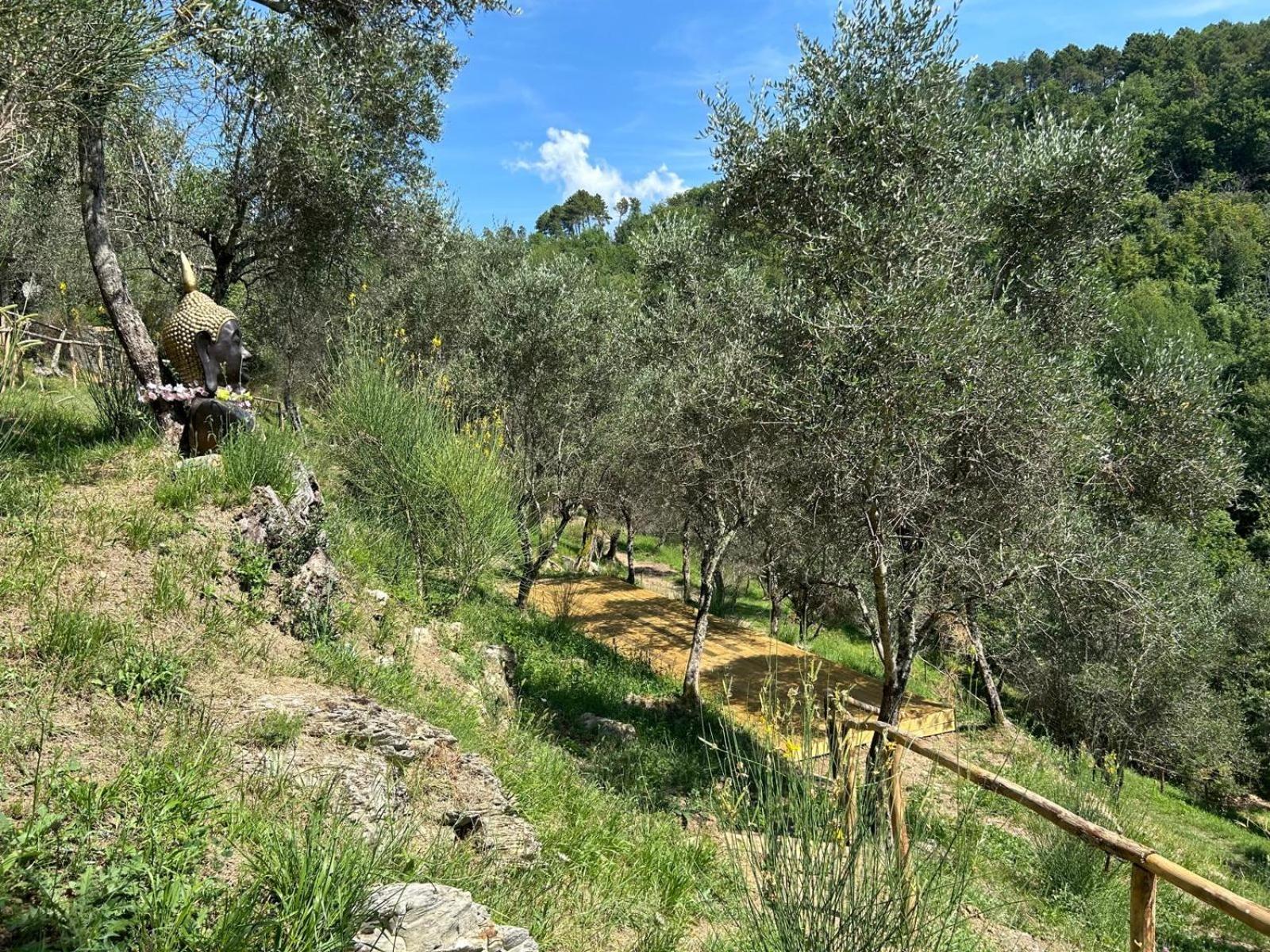 Tenuta Castel Dell'aquila * Gragnola