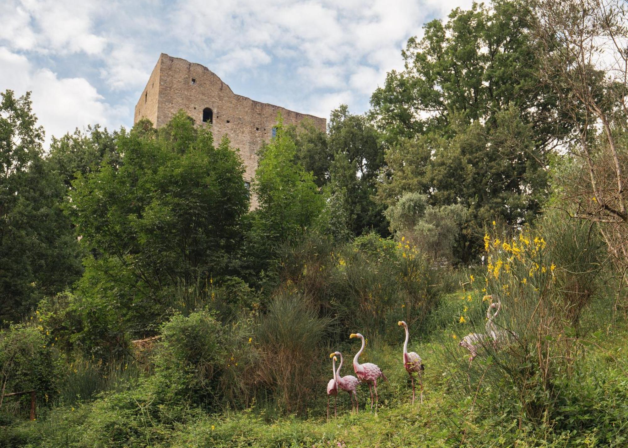 Tenuta Castel Dell'aquila *